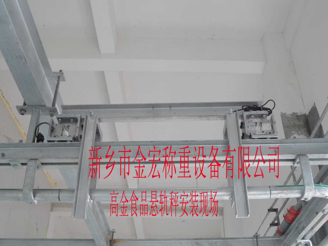 鹤壁电子悬轨秤